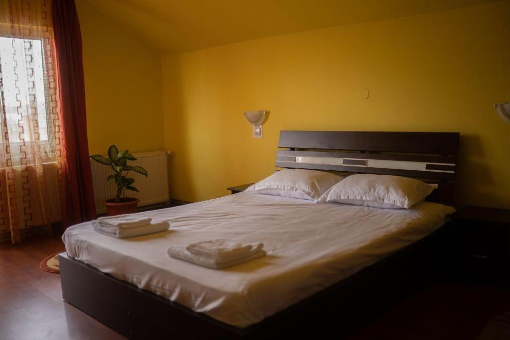 Casa Ramona Apartman Torda Kültér fotó