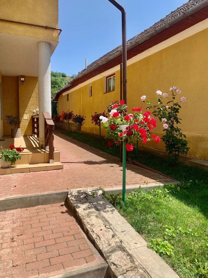 Casa Ramona Apartman Torda Kültér fotó